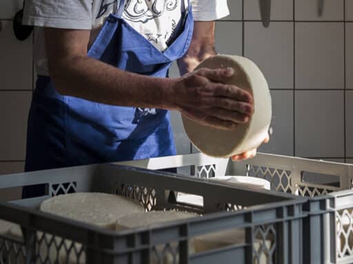 Unser Schnittkäse